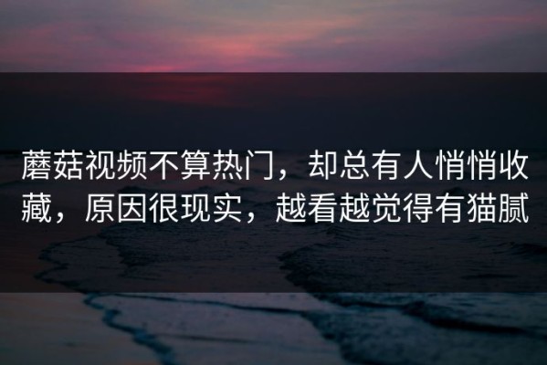 蘑菇视频不算热门，却总有人悄悄收藏，原因很现实，越看越觉得有猫腻