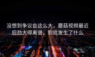 没想到争议会这么大，蘑菇视频最近后劲大得离谱，到底发生了什么
