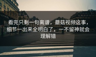 看完只剩一句离谱，蘑菇视频这事，细节一出来全明白了，一不留神就会理解错