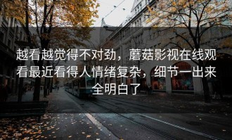 越看越觉得不对劲，蘑菇影视在线观看最近看得人情绪复杂，细节一出来全明白了