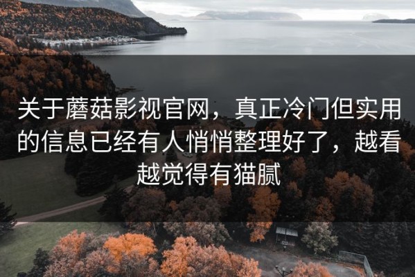 关于蘑菇影视官网，真正冷门但实用的信息已经有人悄悄整理好了，越看越觉得有猫腻