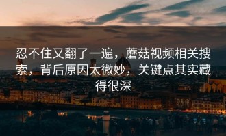 忍不住又翻了一遍，蘑菇视频相关搜索，背后原因太微妙，关键点其实藏得很深