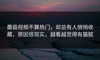 蘑菇视频不算热门，却总有人悄悄收藏，原因很现实，越看越觉得有猫腻