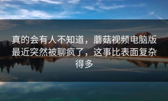 真的会有人不知道，蘑菇视频电脑版最近突然被聊疯了，这事比表面复杂得多