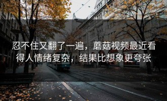 忍不住又翻了一遍，蘑菇视频最近看得人情绪复杂，结果比想象更夸张