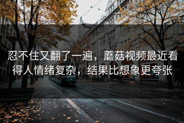 忍不住又翻了一遍，蘑菇视频最近看得人情绪复杂，结果比想象更夸张