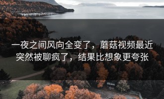 一夜之间风向全变了，蘑菇视频最近突然被聊疯了，结果比想象更夸张