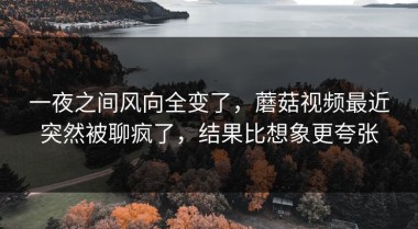 一夜之间风向全变了，蘑菇视频最近突然被聊疯了，结果比想象更夸张