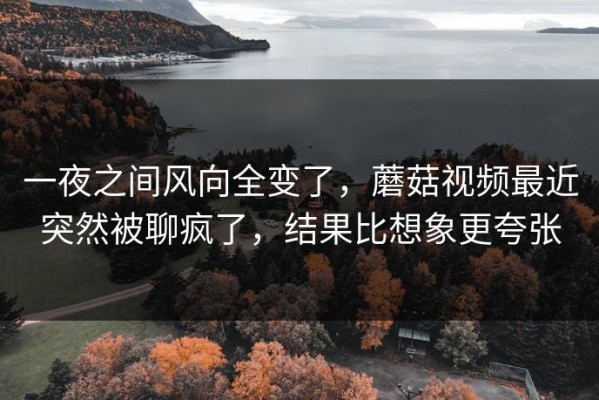 一夜之间风向全变了，蘑菇视频最近突然被聊疯了，结果比想象更夸张