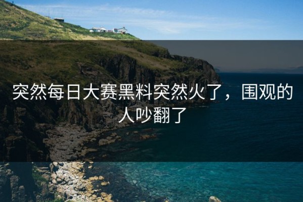 突然每日大赛黑料突然火了，围观的人吵翻了