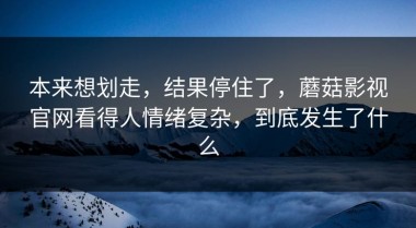 本来想划走，结果停住了，蘑菇影视官网看得人情绪复杂，到底发生了什么