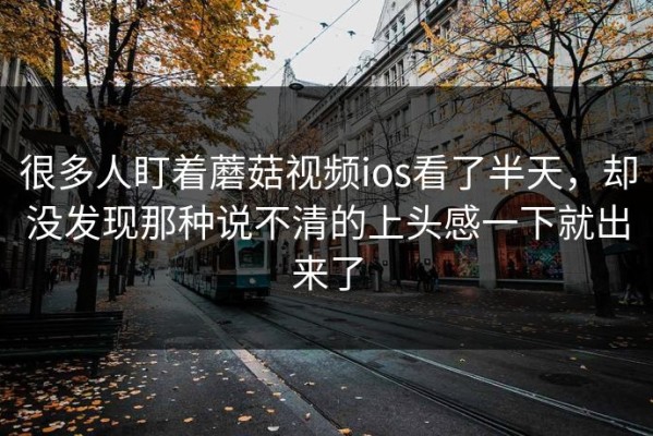 很多人盯着蘑菇视频ios看了半天，却没发现那种说不清的上头感一下就出来了