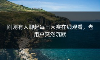 刚刚有人聊起每日大赛在线观看，老用户突然沉默