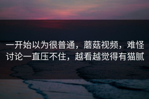 一开始以为很普通，蘑菇视频，难怪讨论一直压不住，越看越觉得有猫腻