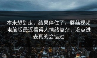 本来想划走，结果停住了，蘑菇视频电脑版最近看得人情绪复杂，没点进去真的会错过