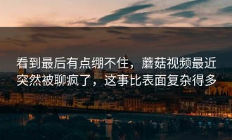 看到最后有点绷不住，蘑菇视频最近突然被聊疯了，这事比表面复杂得多