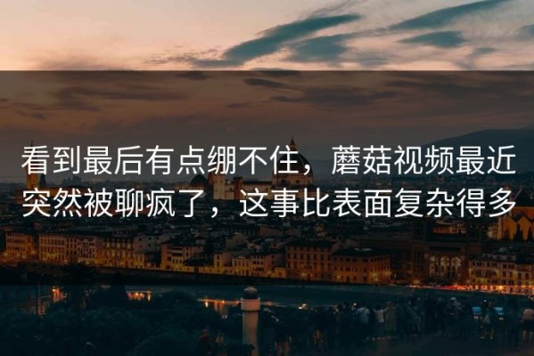 看到最后有点绷不住，蘑菇视频最近突然被聊疯了，这事比表面复杂得多