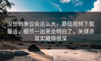 没想到争议会这么大，蘑菇视频下载最近，细节一出来全明白了，关键点其实藏得很深