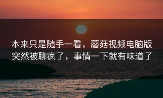 本来只是随手一看，蘑菇视频电脑版突然被聊疯了，事情一下就有味道了