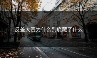 反差大赛为什么到底藏了什么