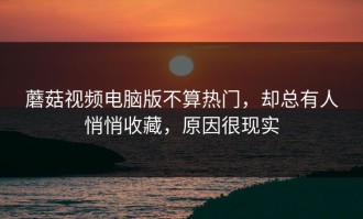 蘑菇视频电脑版不算热门，却总有人悄悄收藏，原因很现实
