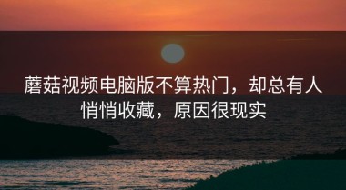 蘑菇视频电脑版不算热门，却总有人悄悄收藏，原因很现实
