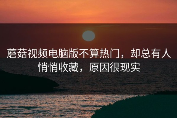 蘑菇视频电脑版不算热门，却总有人悄悄收藏，原因很现实