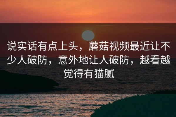 说实话有点上头，蘑菇视频最近让不少人破防，意外地让人破防，越看越觉得有猫腻