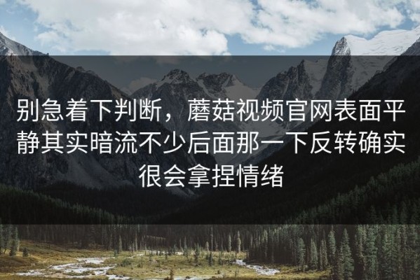 别急着下判断，蘑菇视频官网表面平静其实暗流不少后面那一下反转确实很会拿捏情绪