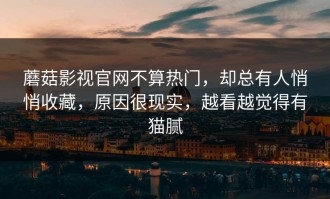 蘑菇影视官网不算热门，却总有人悄悄收藏，原因很现实，越看越觉得有猫腻
