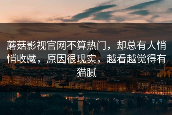 蘑菇影视官网不算热门，却总有人悄悄收藏，原因很现实，越看越觉得有猫腻