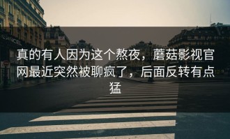 真的有人因为这个熬夜，蘑菇影视官网最近突然被聊疯了，后面反转有点猛