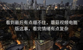 看到最后有点绷不住，蘑菇视频电脑版这事，看完情绪有点复杂