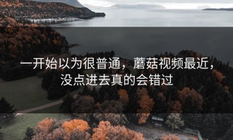 一开始以为很普通，蘑菇视频最近，没点进去真的会错过