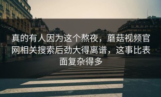 真的有人因为这个熬夜，蘑菇视频官网相关搜索后劲大得离谱，这事比表面复杂得多