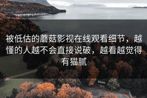 被低估的蘑菇影视在线观看细节，越懂的人越不会直接说破，越看越觉得有猫腻