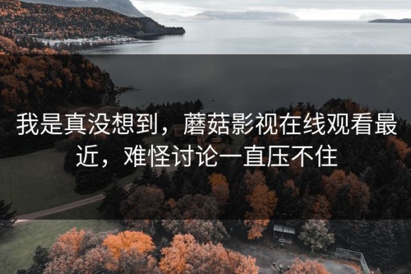我是真没想到，蘑菇影视在线观看最近，难怪讨论一直压不住