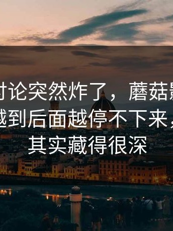 这一波讨论突然炸了，蘑菇影视官网最近，越到后面越停不下来，关键点其实藏得很深