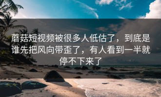 蘑菇短视频被很多人低估了，到底是谁先把风向带歪了，有人看到一半就停不下来了