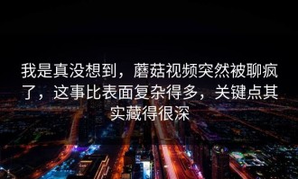 我是真没想到，蘑菇视频突然被聊疯了，这事比表面复杂得多，关键点其实藏得很深