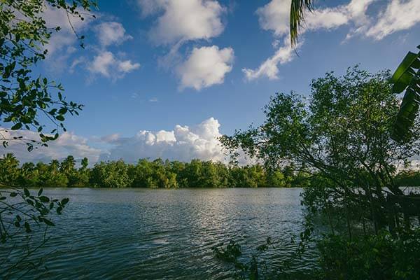 谁懂这种后劲，蘑菇影视官网这事让不少人破防，不少人看完都沉默了