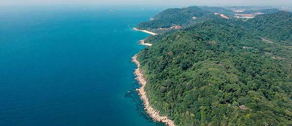 不是夸张，这次每日大赛黑料背后其实没那么简单