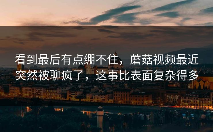 看到最后有点绷不住,蘑菇视频最近突然被聊疯了,这事比表面复杂得多 看到最后有点绷不住,蘑菇视频最近突然被聊疯了,这事比表面复杂得多