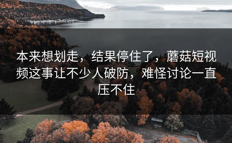 本来想划走，结果停住了，蘑菇短视频这事让不少人破防，难怪讨论一直压不住