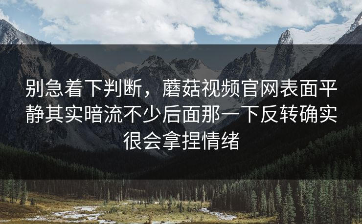 别急着下判断，蘑菇视频官网表面平静其实暗流不少后面那一下反转确实很会拿捏情绪