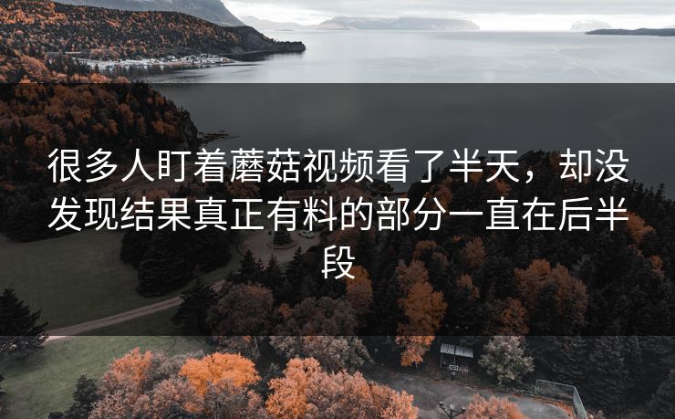 很多人盯着蘑菇视频看了半天,却没发现结果真正有料的部分一直在后半段 很多人盯着蘑菇视频看了半天,却没发现结果真正有料的部分一直在后半段