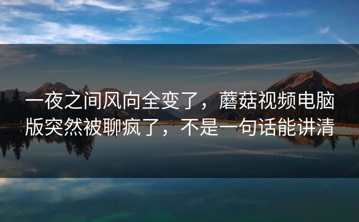 一夜之间风向全变了，蘑菇视频电脑版突然被聊疯了，不是一句话能讲清