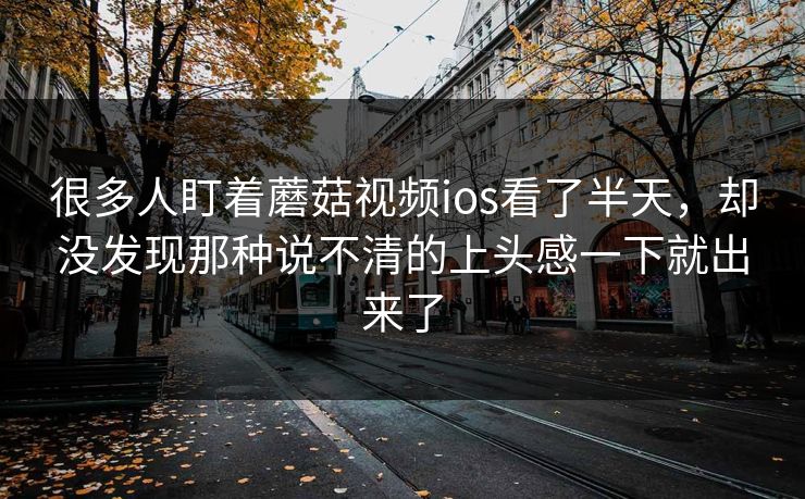 很多人盯着蘑菇视频ios看了半天，却没发现那种说不清的上头感一下就出来了