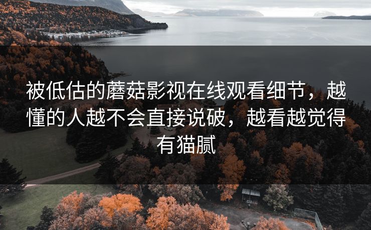 被低估的蘑菇影视在线观看细节,越懂的人越不会直接说破,越看越觉得有猫腻 被低估的蘑菇影视在线观看细节,越懂的人越不会直接说破,越看越觉得有猫腻