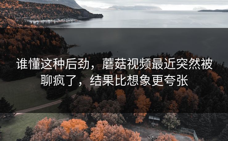 谁懂这种后劲，蘑菇视频最近突然被聊疯了，结果比想象更夸张